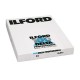 Ilford Delta Professional 100 4x5in 25 sheets